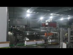 Μηχανή σφράγισης χαρτονιού, Μηχανή ρομπότ παλέτισης