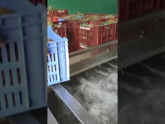 Μηχανή πλύσης φρούτων και λαχανικών τύπου φυσαλίδας, η παραγωγική ικανότητα μπορεί να προσαρμοστεί